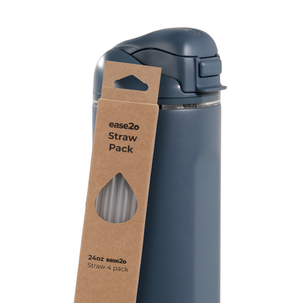 Ease2o Straws 4 Pack 24oz V9
